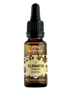 Clématite - Clematis (n°9) BIO, 20 ml
